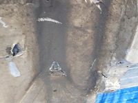 фото thumb №15, Защита pod бампер перед двигатель коробка передач mercedes w205 2055200423