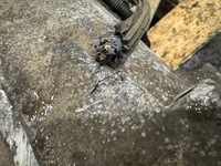 фото thumb №8, Bmw x3 e83 2.0 d 4x4 коробка передач передач 7570230