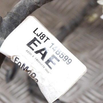 фото thumb №6, Ford mustang mach-e 2022 інша джгут провід / кабелі