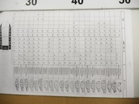 фото thumb №12, Набор пленка na стекло renault twingo ii 7711421428