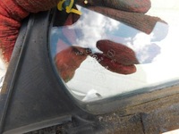 фото thumb №5, Mazda 626 gf 2001r hb lift скло трикутник правий задня