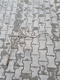 Купить Шланг трубка компрессора воздуха renault premium dxi 11, фото thumb