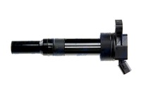 фото thumb №10, Котушка запалювання hyundai i40 2.0gdi 2011.04- ix35 2.0gdi 2013.07- kia
