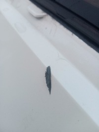 фото thumb №4, Крышка багажника задняя крышка багажника peugeot 308 ii kombi