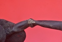 фото thumb №7, Датчик лямбда-зонд opel corsa c 1.2 16v 80 km 03-06