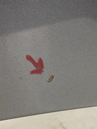 Капот кришка двигуна bmw x3 f25 2.0 d kol a52 2012 Київ, фото thumb