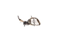 фото thumb №2, Pas безпеки задня правий mercedes w251 06r 1 ряд