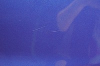 фото thumb №7, Кришка багажника audi a5 8t рестайлінг sportback lx5q