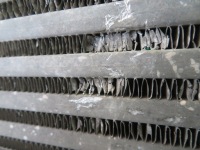 Интеркулер ford transit mk7 13r Киев, фото thumb