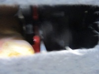 фото thumb №10, Заднє сидіння задня задня напівшкіра ford kuga mk1