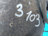 фото thumb №13, Коробка передач mercedes w163 2.7 cdi 722661 дизель