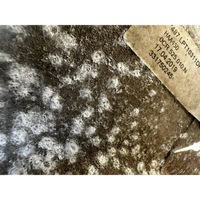 фото thumb №8, A3 rs3 8v подвеска задняя 4x4 мост подрамник дифференциал полный 5q0505235k