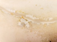 Губка спинка сиденье ford оригинальный номер 1004258 Недорого, фото thumb