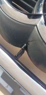 фото thumb №6, Audi оригінальний номер 8v3 853 651 решітка радіатора решітка радіатора