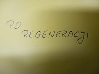 фото thumb №7, Суппорт тормозной левый перед skoda octavia ii