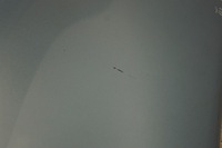 фото thumb №12, Крила правий перед renault scenic iii terpa