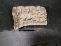 фото thumb №10, Бампер перед передний mercedes eqb a243 w243 x243 a2438853700 оригинал oem