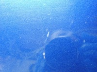 фото thumb №7, Peugeot 207 3d hb kpld капот крышка двигателя