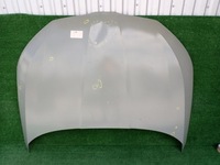 фото thumb №1, Skoda scala 19- капот