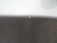 фото thumb №10, Bmw 3 e90 sedan двері повний правий перед titansilber металік 91um