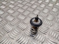 фото thumb №1, Lexus rx 450h 2019 термостат