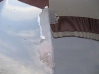 фото thumb №3, Капот перед alfa romeo giulietta 805