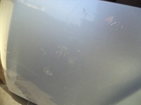 фото thumb №4, Peugeot 5008 09-16r капот перед lak ezrc