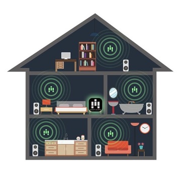 Odtwarzacz sieciowy iEAST OlioStream 1 WIFI BLUETOOTH czarny