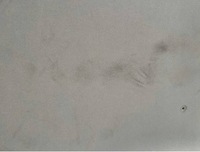 фото thumb №11, Потолок потолок toyota auris ii hb