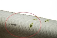 фото thumb №8, Alfa romeo 159 лівий блок двигуна a trim 156044506 2.40 дизель 147kw 2008