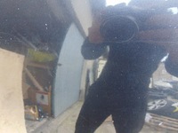 фото thumb №8, Капот кришка двигуна hyundai santa fe ii колір 2z