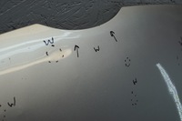 фото thumb №7, Капот кришка двигуна перед ford fiesta mk7