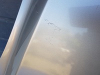 фото thumb №15, Капот mercedes r-klasa w251 c723 723