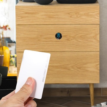 СКРЫТЫЙ ЗАМОК ДЕРЕВЯННЫЙ ШКАФ SMART WIRELESS