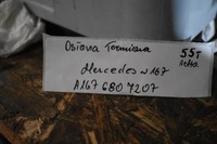 фото thumb №4, Idealna защита тепловая mercedes w167 1