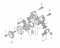 фото thumb №7, Прокладка насоса wody ford galaxy 94-06 1031880
