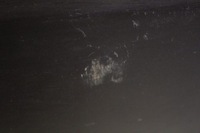 фото thumb №10, Дверь левая перед передние ciemnozielone nissan navara d40 3 iii 05-14