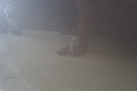 фото thumb №5, Двері лівий задня hyundai i40 kombi