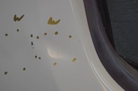 фото thumb №10, Nissan nv200 дверь правый перед d1766