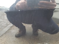 фото thumb №5, Seat leon 2 ii 04-12r двері праве перед lz9y