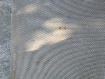 фото thumb №5, Диван задняя сиденье bmw e30