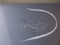 Citroen c4 2 b7 бампер передній версія ксенон новий оригінал. 9676285080a Ціна, фото thumb