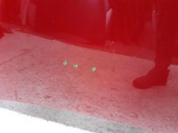 фото thumb №5, Капот tesla 3 2017-2023r