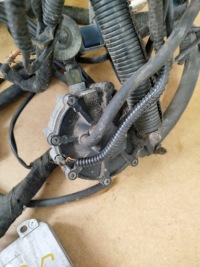 фото thumb №5, Електропроводка газова комплектна stag-4 eco