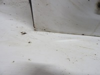 фото thumb №7, Citroen ds3 09-14 дверь левый перед ewp exy