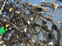 фото thumb №4, Жгут электрическая салона ford ecosport 1.0 eb