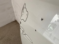 фото thumb №12, Tesla 3 дверь левая передние