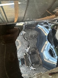 фото thumb №7, Двері праве задні alfa romeo stelvio правий задня