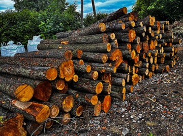 DREWNO DO KOMINKA KOMINKOWE 10 KG DO GRILLA, OGNISKA, WĘDZENIA, OPAŁ, DĄB