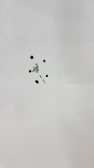 фото thumb №8, Капот bmw x3 g01 x4 g02 18- оригинал